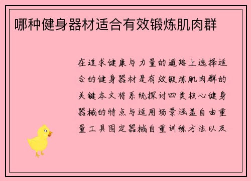 哪种健身器材适合有效锻炼肌肉群