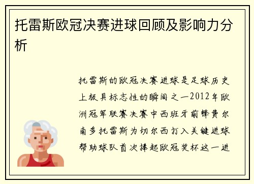托雷斯欧冠决赛进球回顾及影响力分析